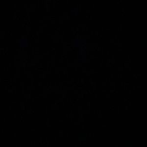 Meet your Posher, Isis